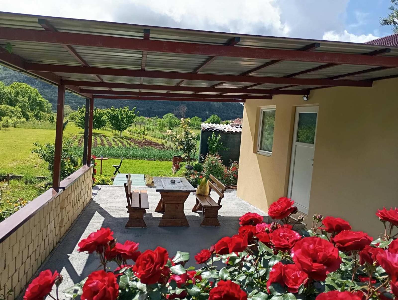 Smjestaj Dada Villa เทรบินเย ภายนอก รูปภาพ